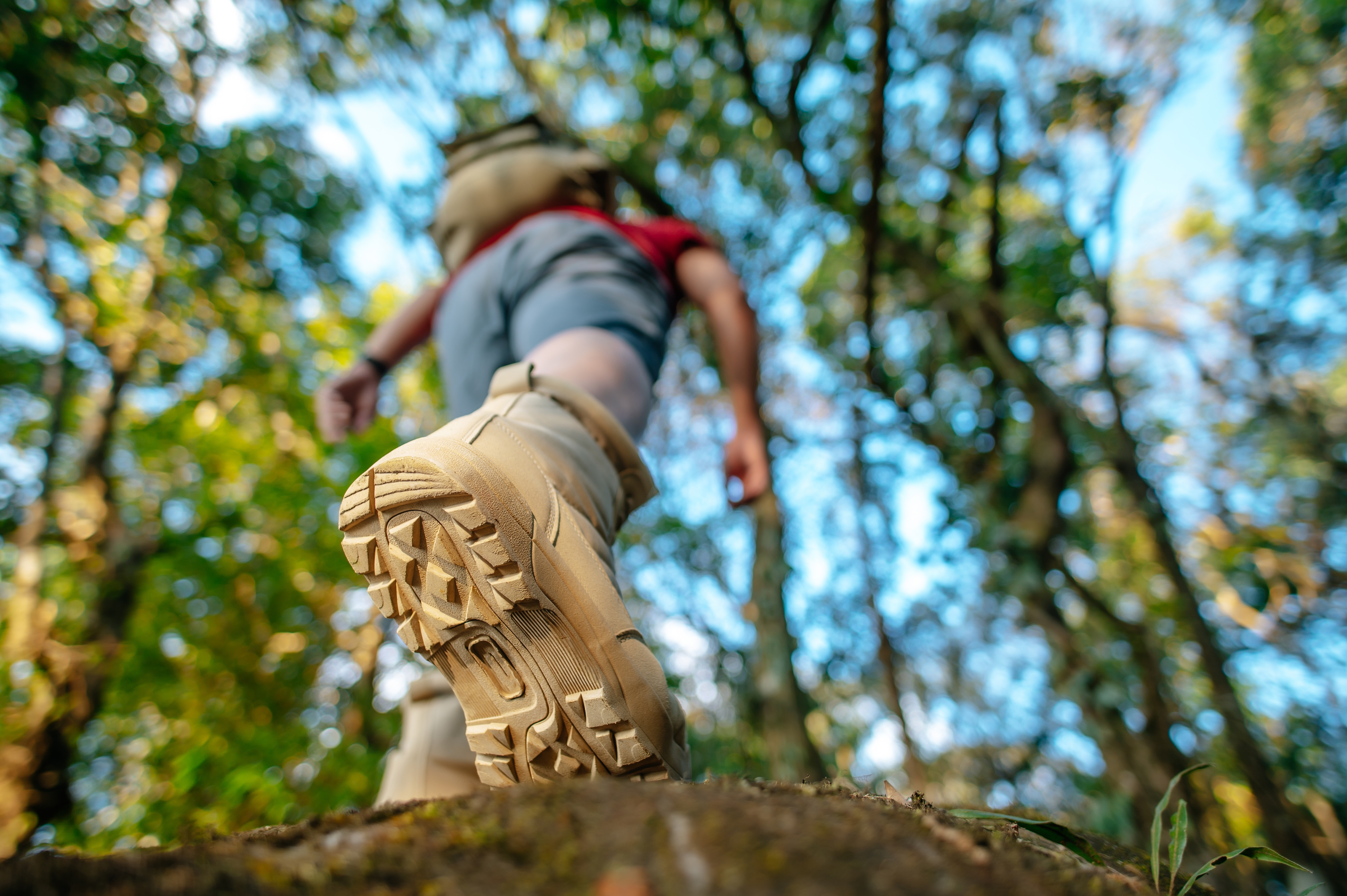 Close up shoes of Hiker walking in the forest Trail Close up shoes of Hiker walking in the forest Trail